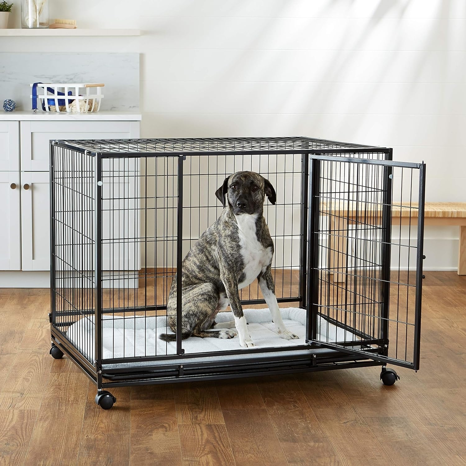 A dog in the large kennel with wheels