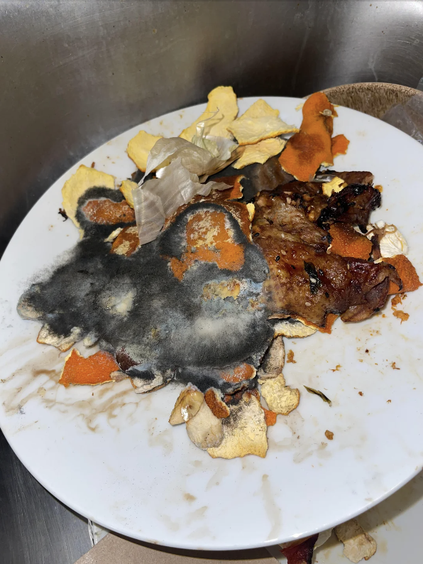 A plate with food debris and mold on it