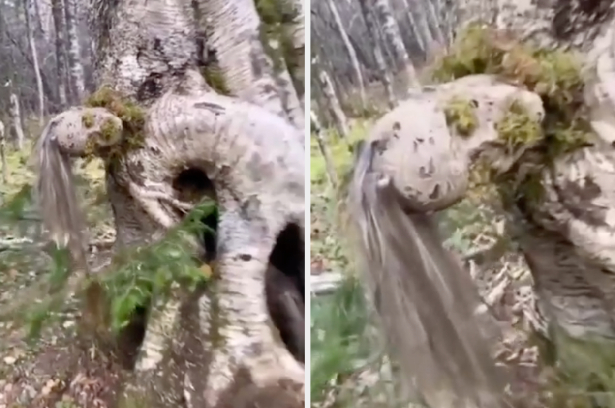 A tree contorted to look like a mannequin
