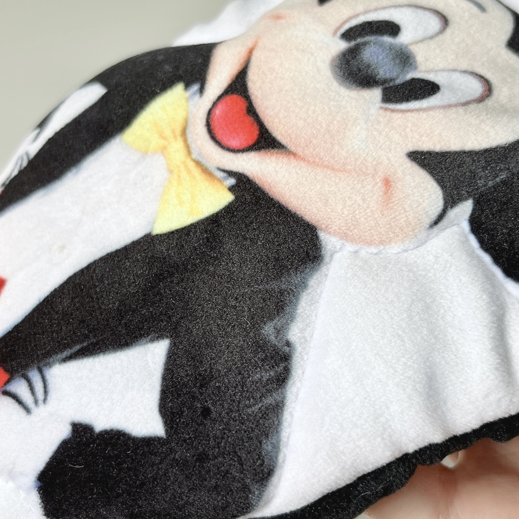 ディズニーランドのおすすめお土産「ショルダーバッグ」