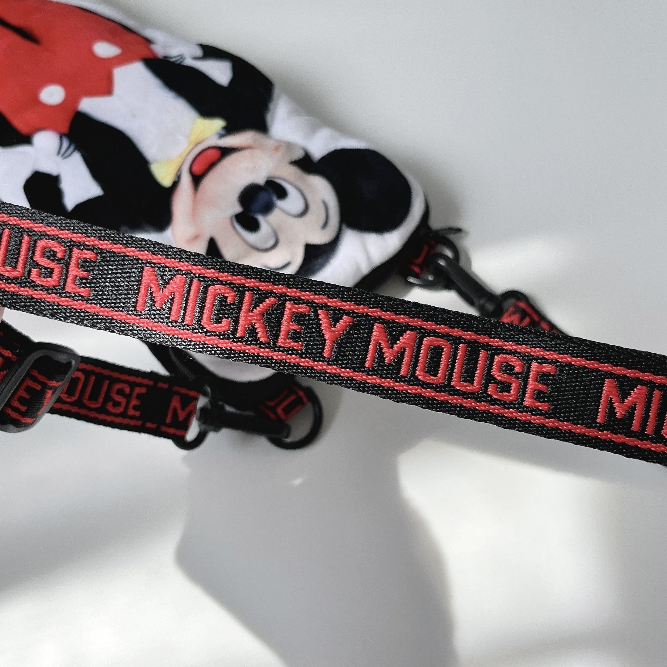 ディズニーランドのおすすめお土産「ショルダーバッグ」