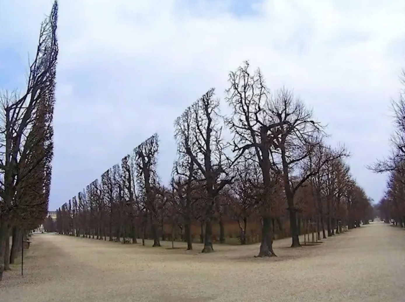 Trees that end at the same point