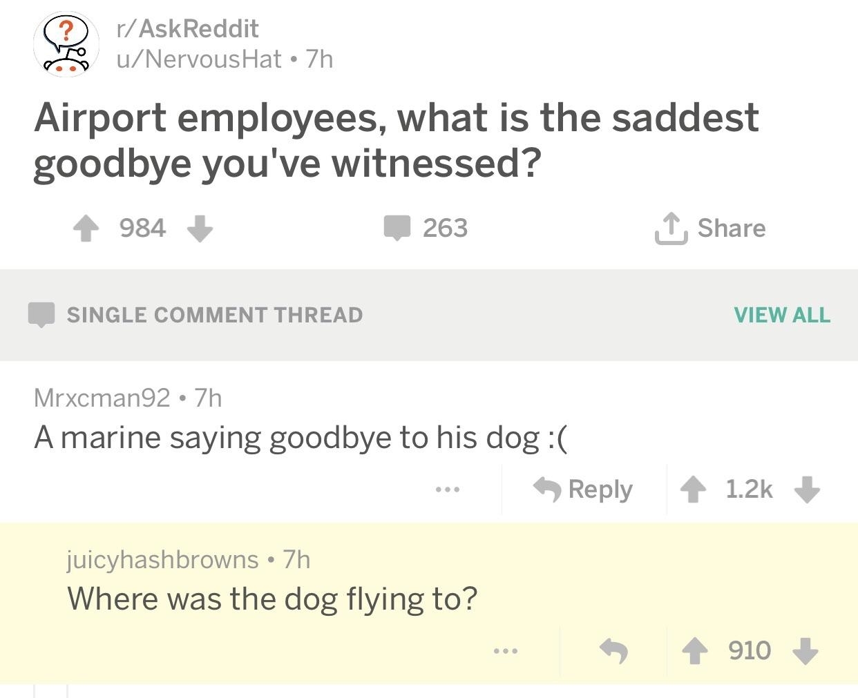 &quot;Airport employees, what is the saddest goodbye you&#x27;ve witnessed?&quot; &quot;responses: &quot;A Marine saying goodbye to his dog&quot;; &quot;Where was the dog flying to?&quot;