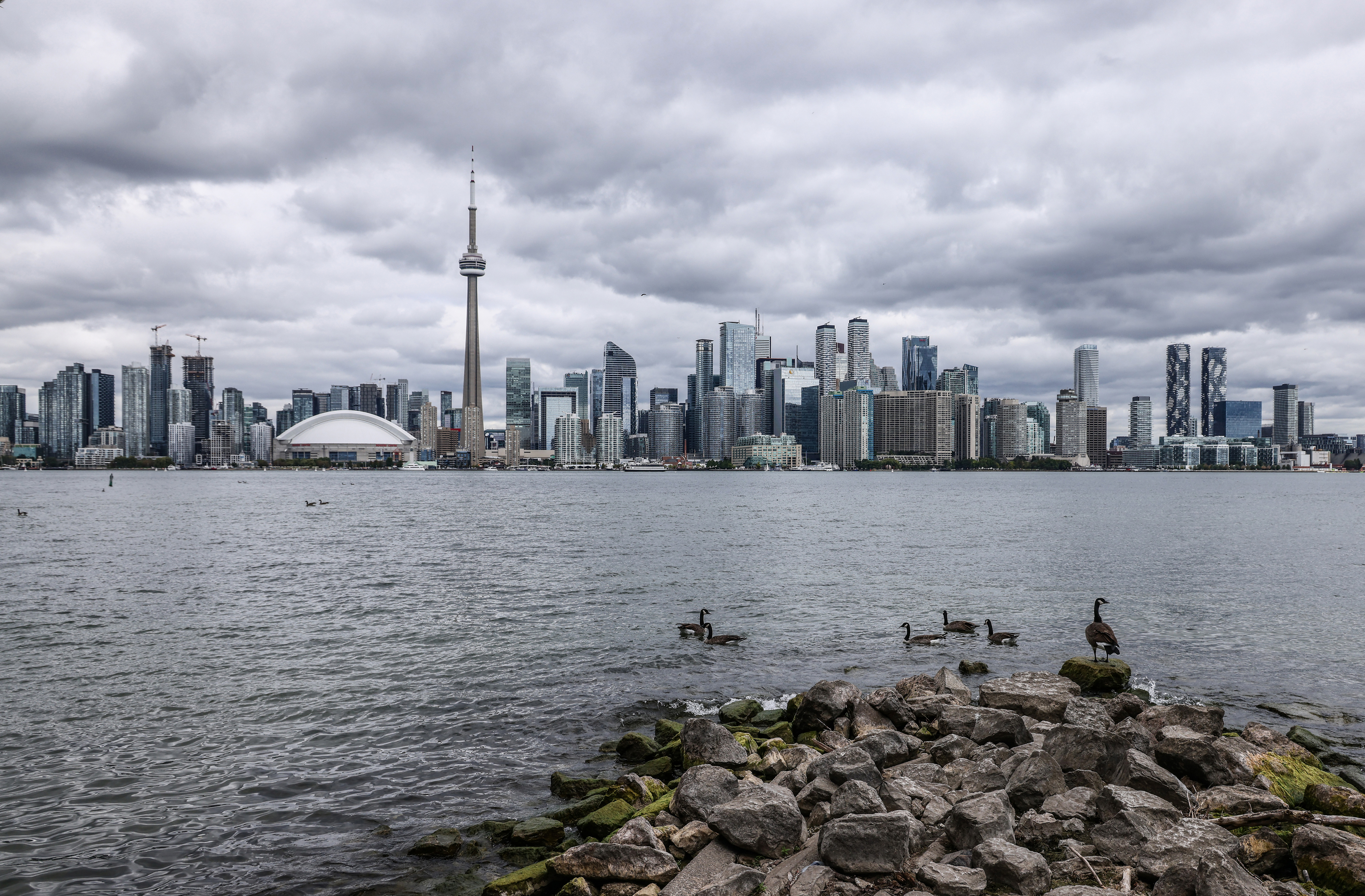 Toronto skyline across the lake.