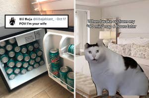 a fridge full of mountain dew and a tweet reading pov i'm your wife; a shocked looking cat with text when i wake up from my 40 minute nap 6 hours later
