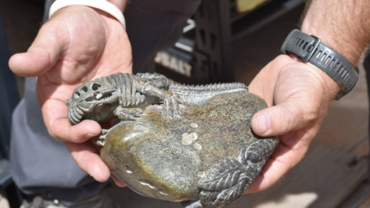 The alleged operation dates back to March 2018 and includes dino bones that were "illegally removed" from federal and state land.