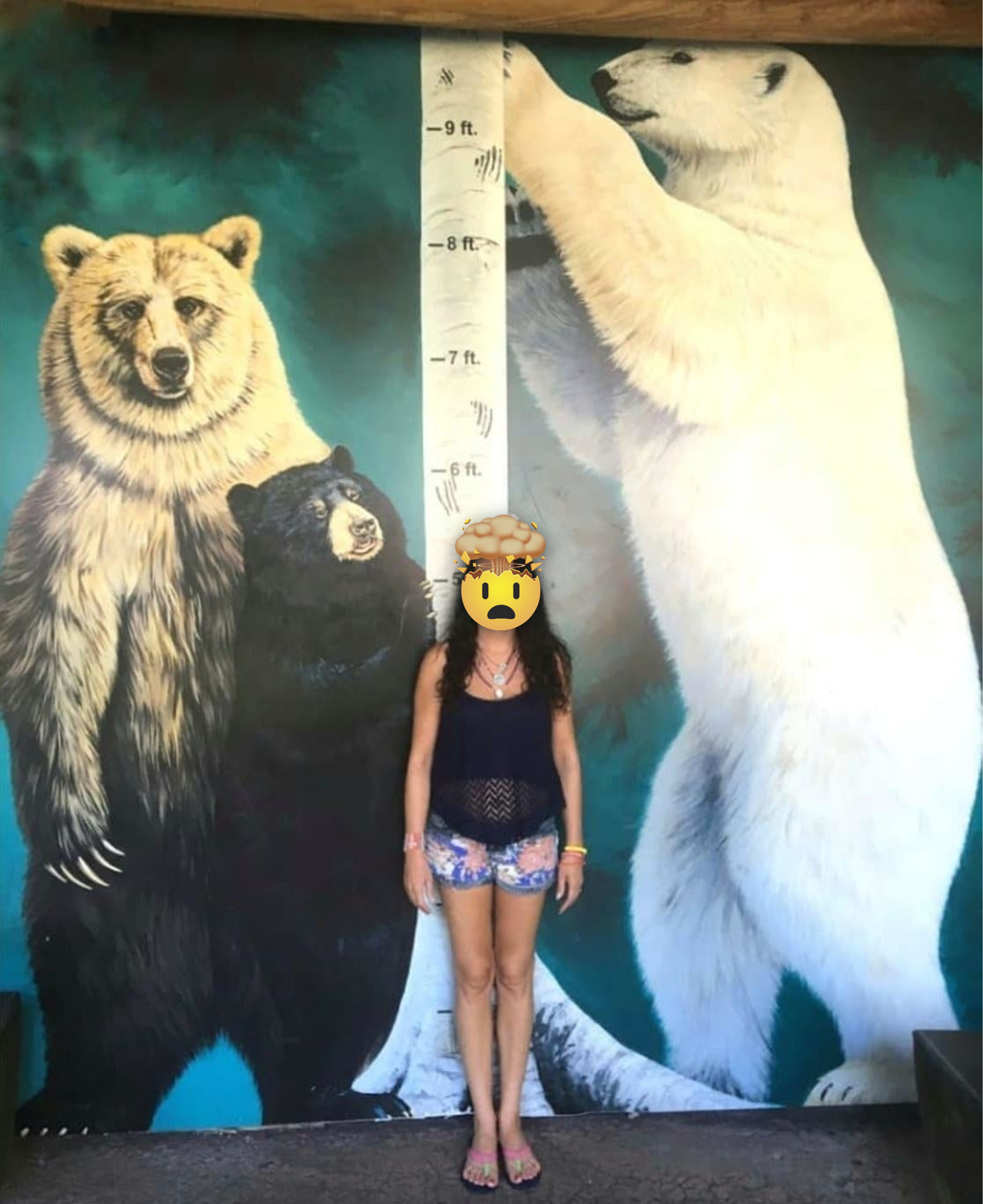 A woman standing next to a measurement of bears