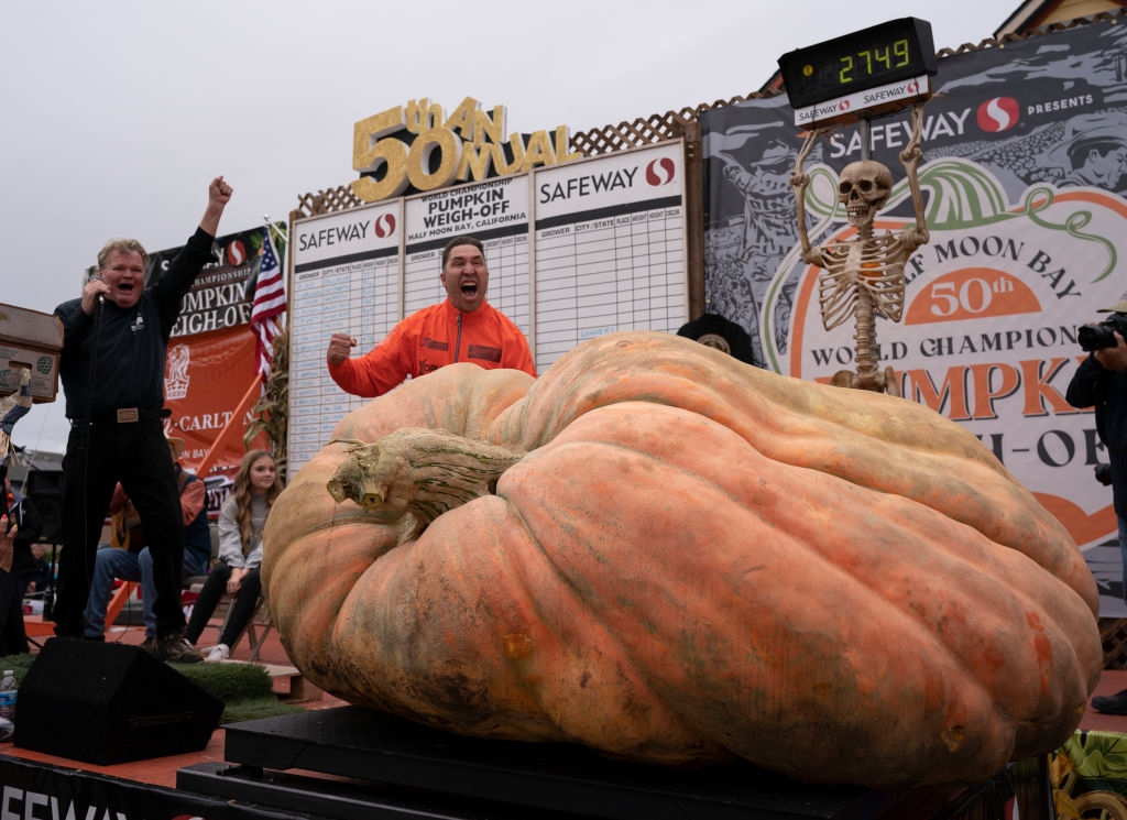 A giant pumpkin