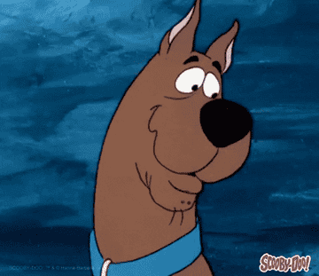 Scooby Doo looking shocked and confused
