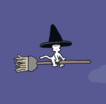 gif of a dog on a broomstick wearing a witches hat