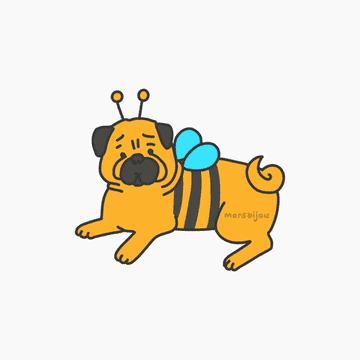 gif of a pug dressed as a bumble bee