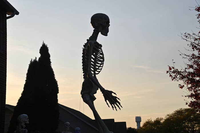 large skeleton in the yard