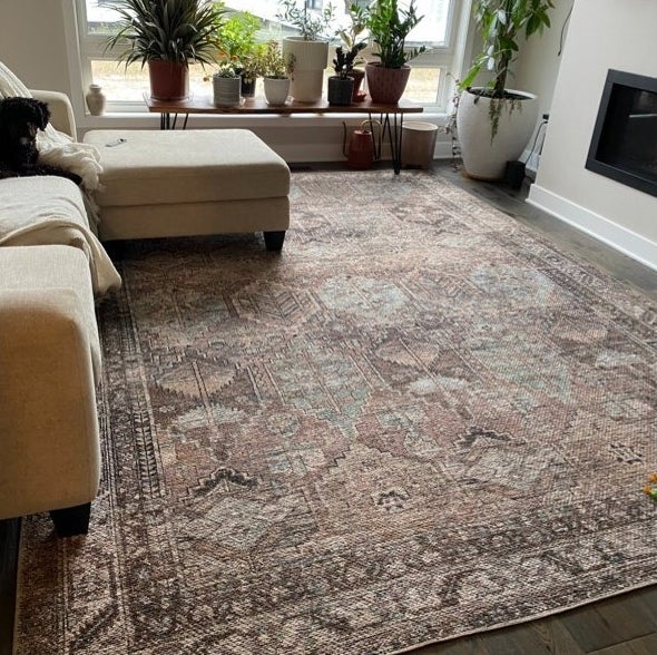 the rug in brown in a person&#x27;s living room