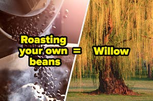 Coffee Beans being roasted and a willow tree.