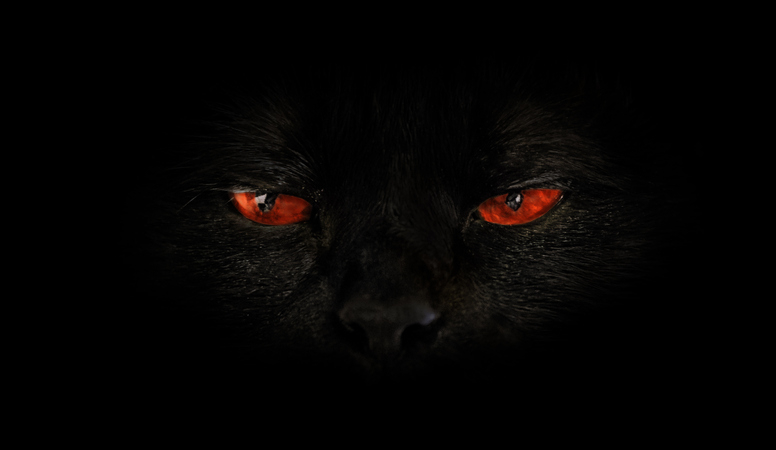 black cat with red evil eyes
