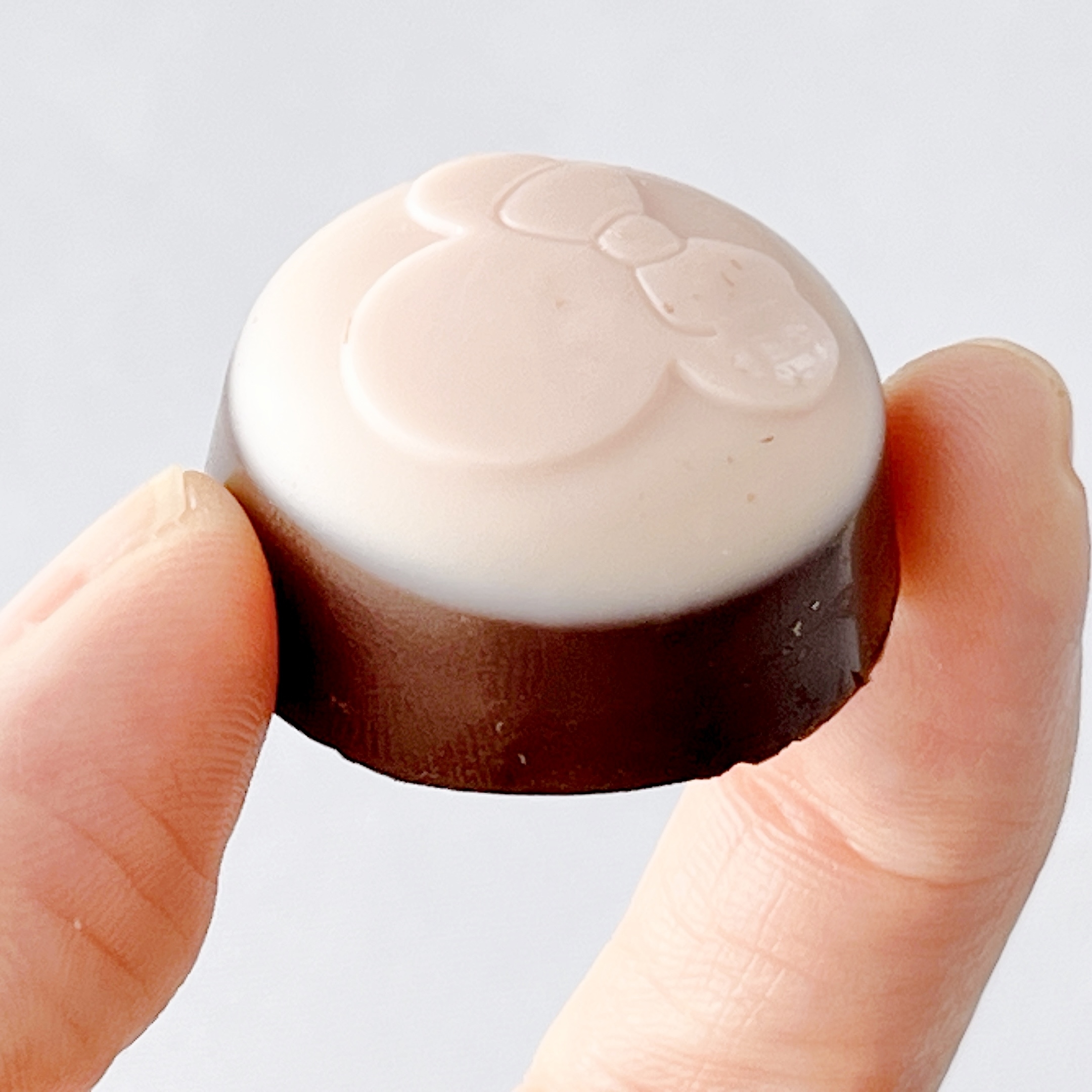 東京ディズニーリゾートのおすすめお土産「チョコレート缶」