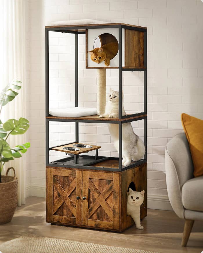 The three-tier condo, featuring a black metal frame, top perch, a cat cafe, a scratching post, an elevated bowl stand, and a cat litter box enclosure at the bottom