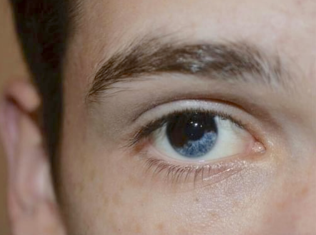 closeup of a brown and blue eye
