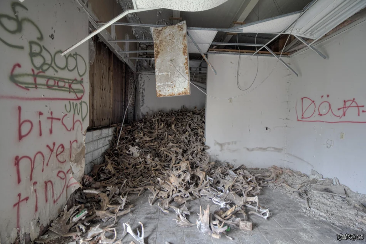 Bones in an abandoned building