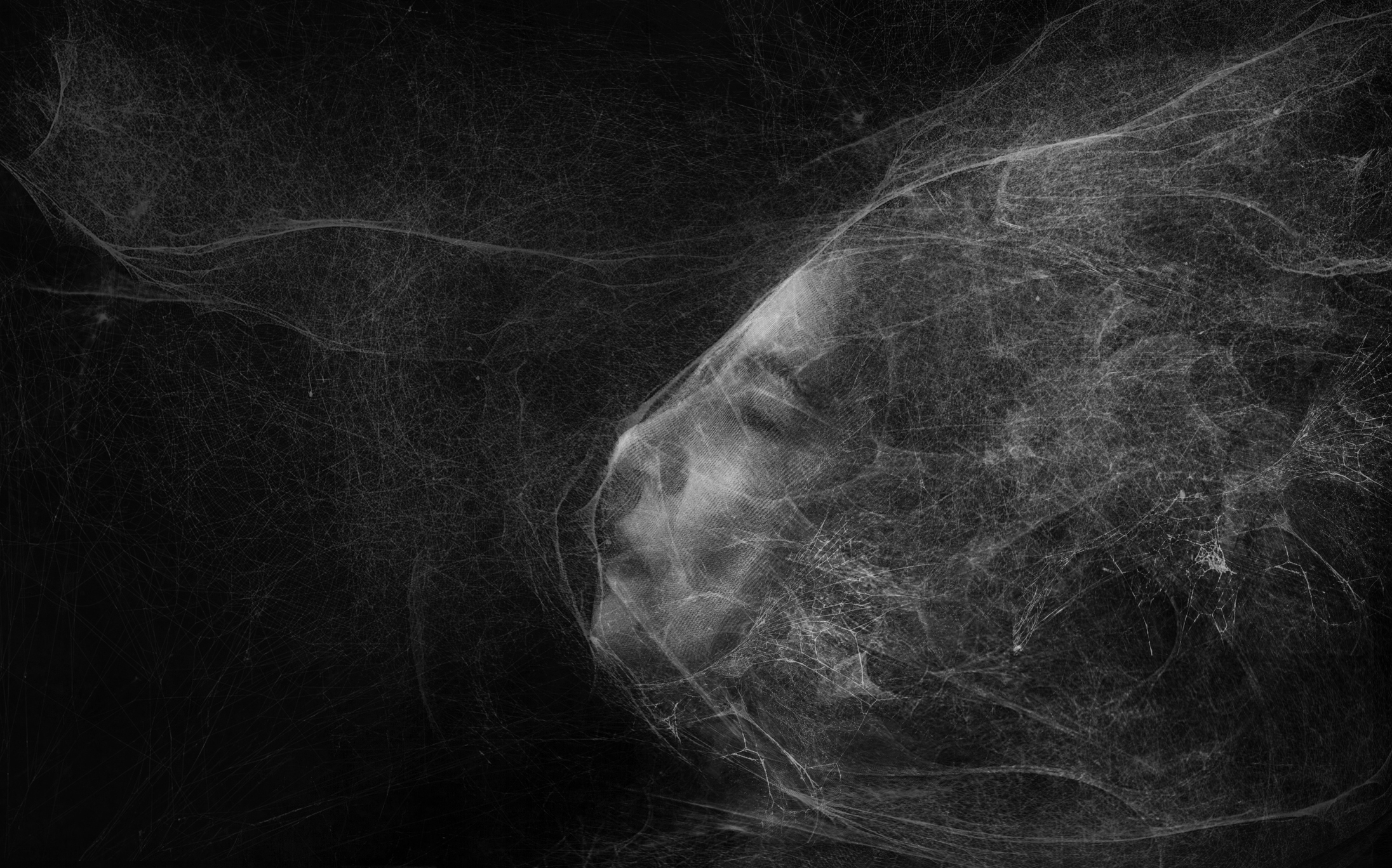 Side view of a face with the eyes closed covered by a cobweb-like substance against a dark background
