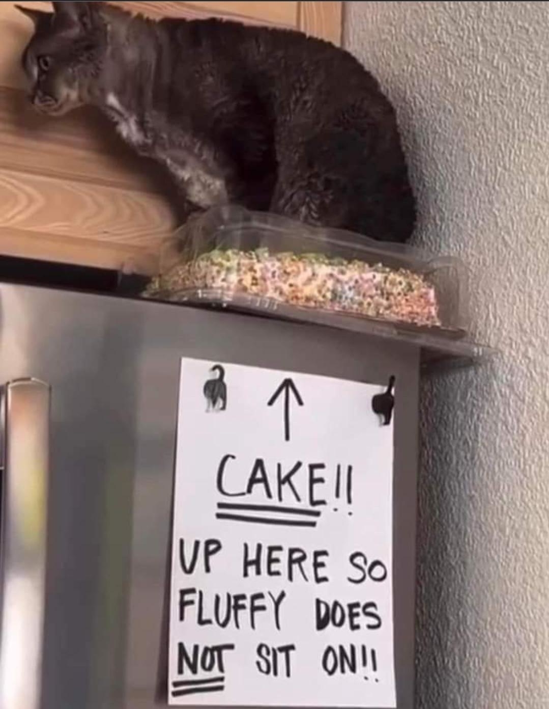 Cat sitting on top of a cake, which is on top of a fridge that has a sign with an arrow pointing up that says, &quot;Cake!! Up here so Fluffy does NOT sit on!!&quot;