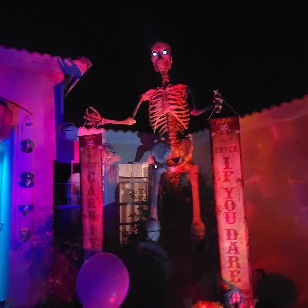 A skeleton at the entrance to a &quot;carnival,&quot; with signs, at night