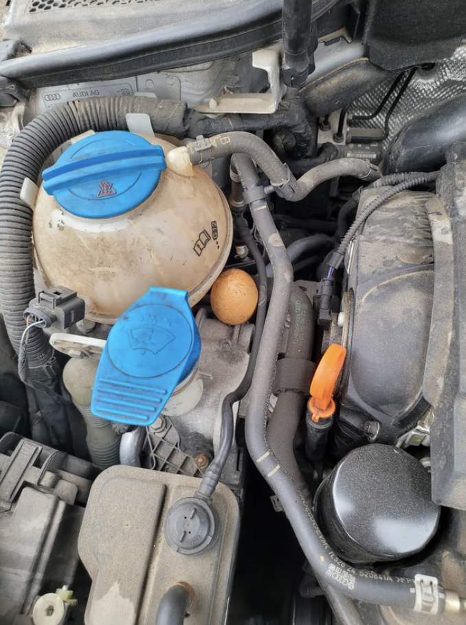 a chicken egg in a car&#x27;s engine