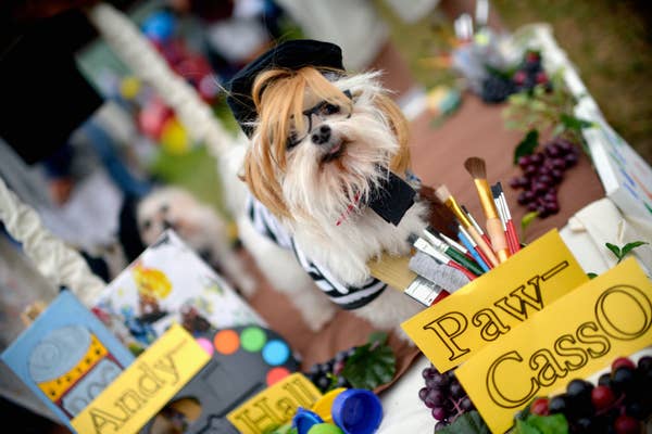 small dog wearing a beret and surrounded by art supplies