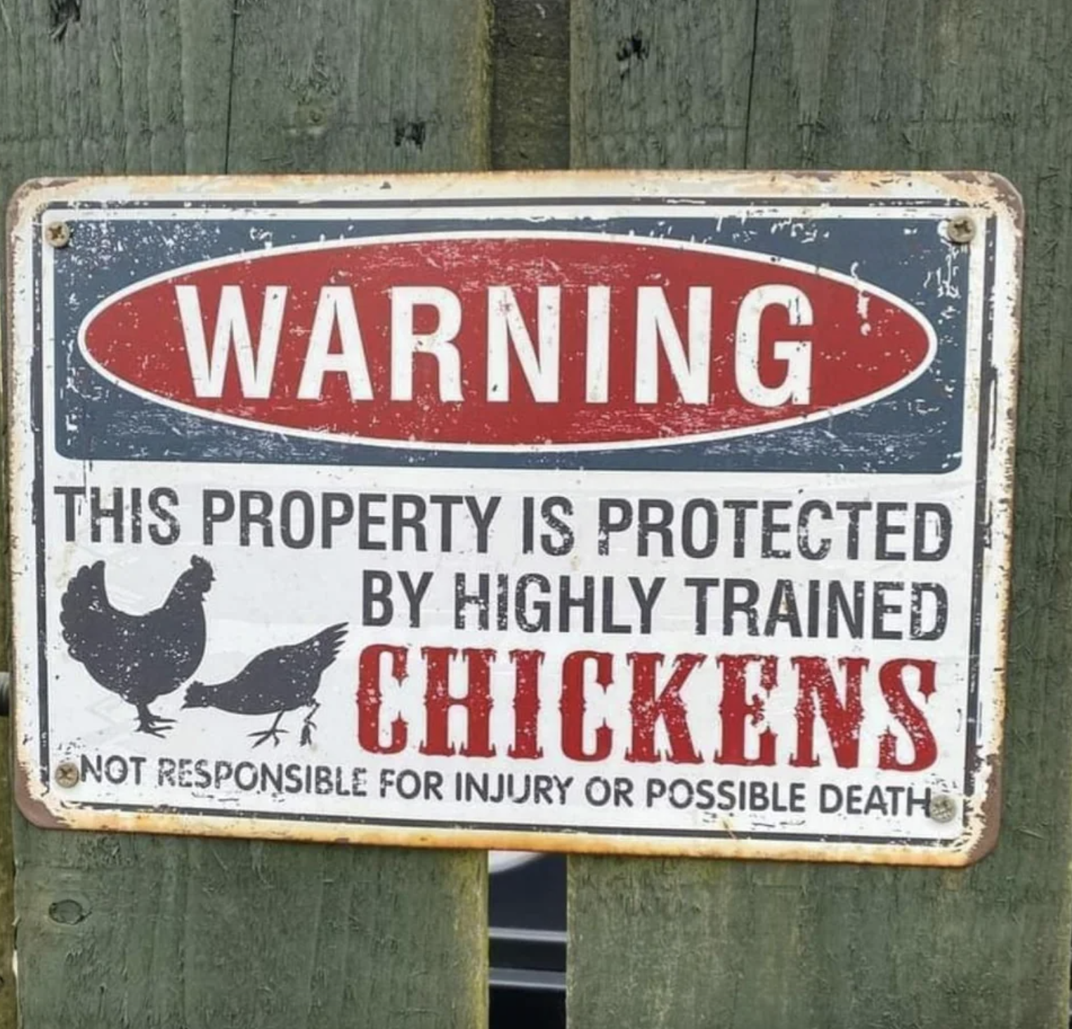warning this property is protected by highly trained chickens
