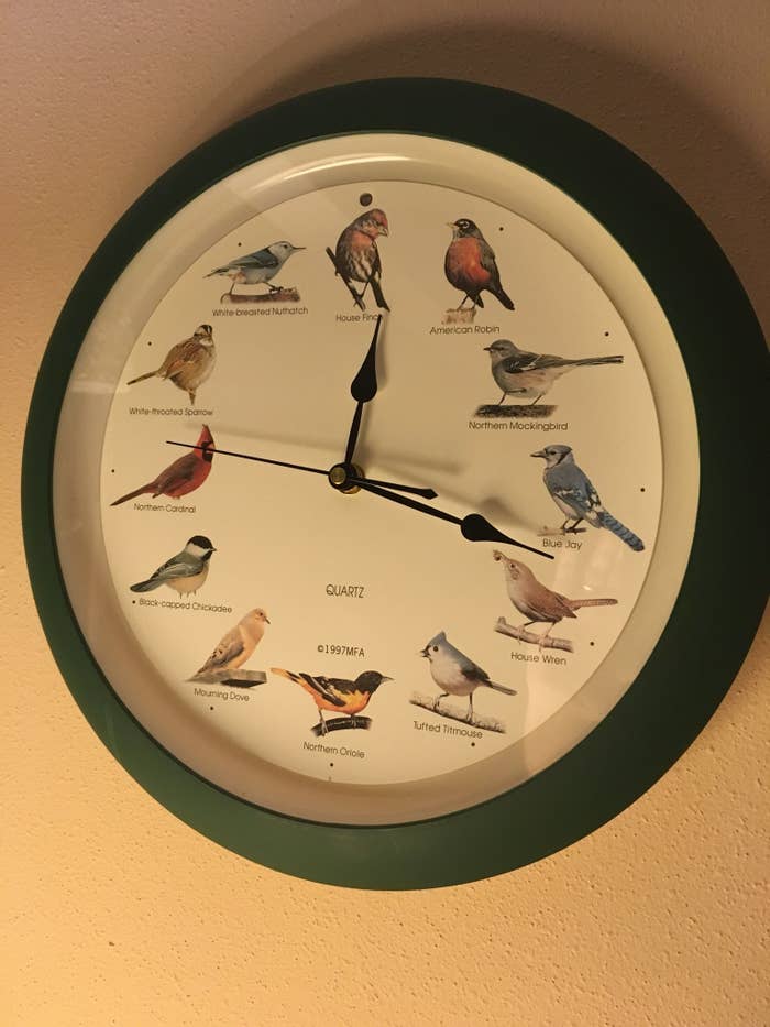 Close-up of an analog bird clock with bird photos on it
