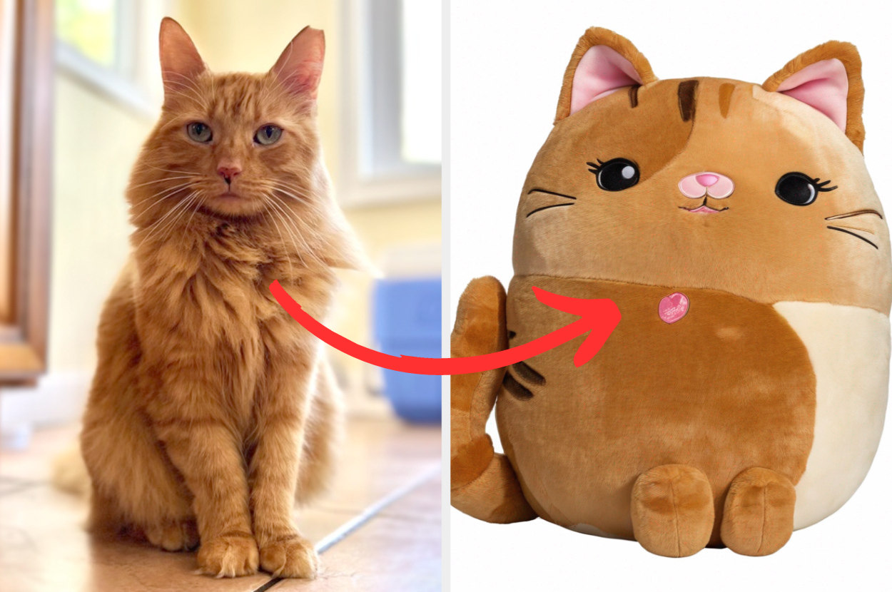 Plushie Filter: Turn Your Cat Or Dog Into A Stuffed Animal