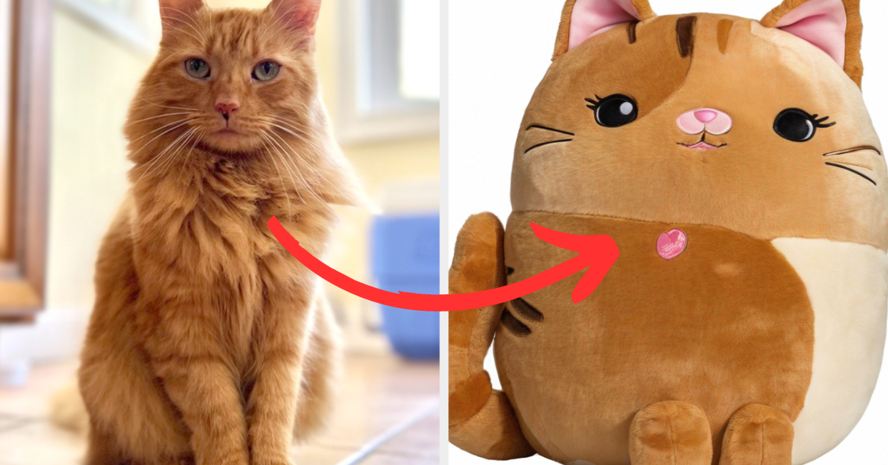 Make your pet into a plush store