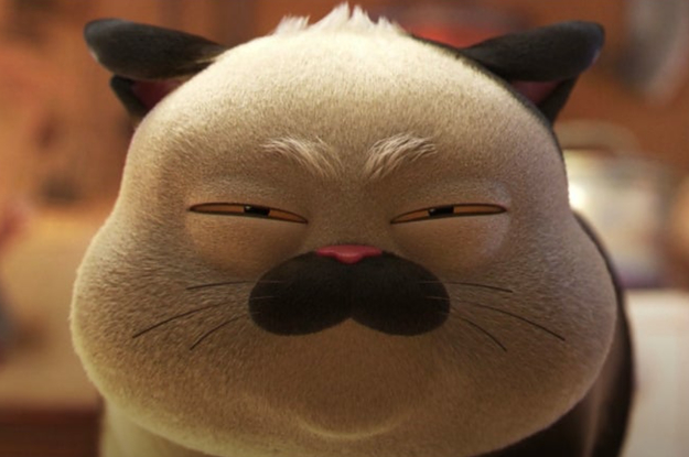 A white cat with black ears and a mouth squinting with suspicion.
