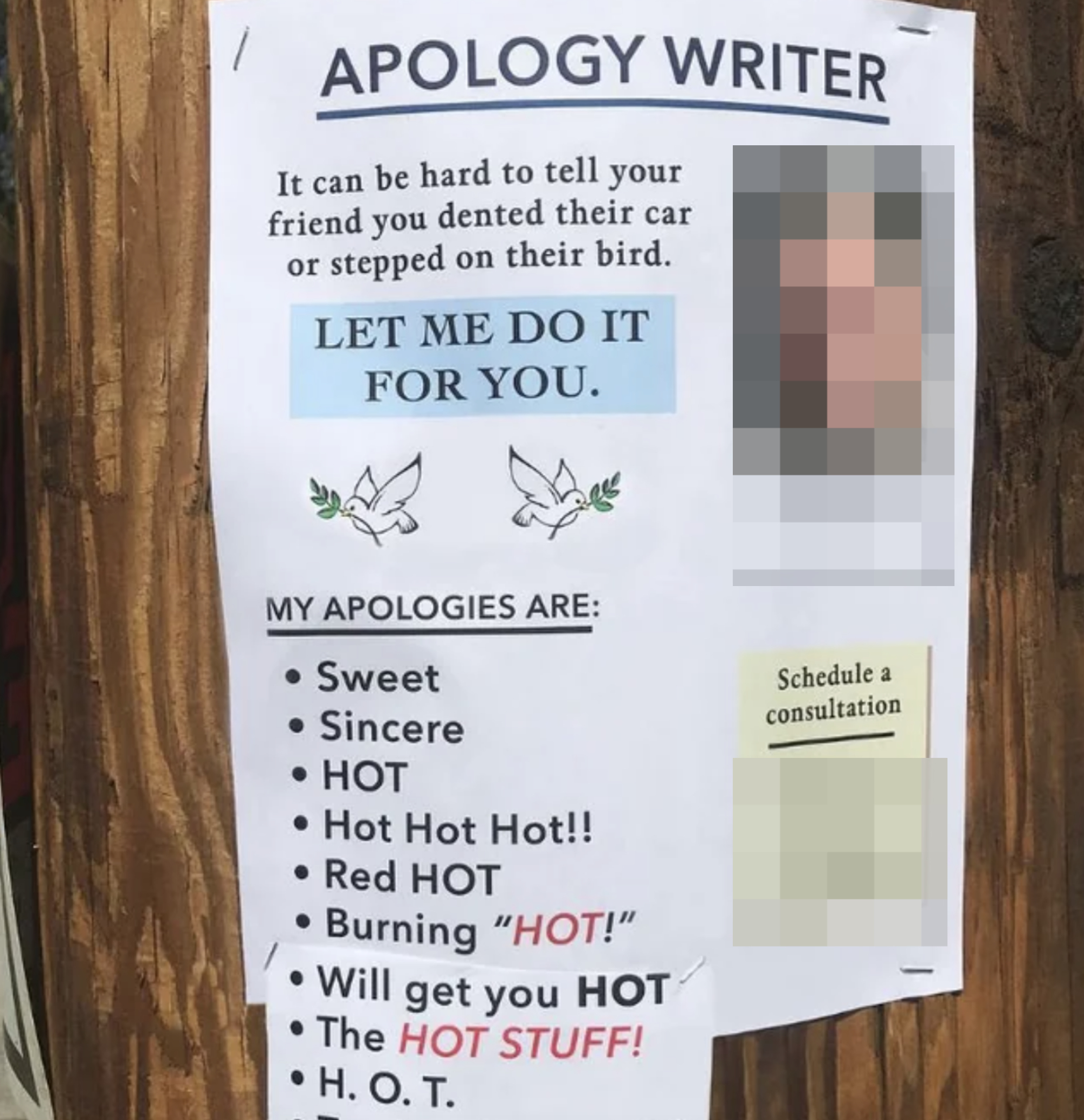 flyer for an apology writer offering their services promising their apologies are hot hot hot