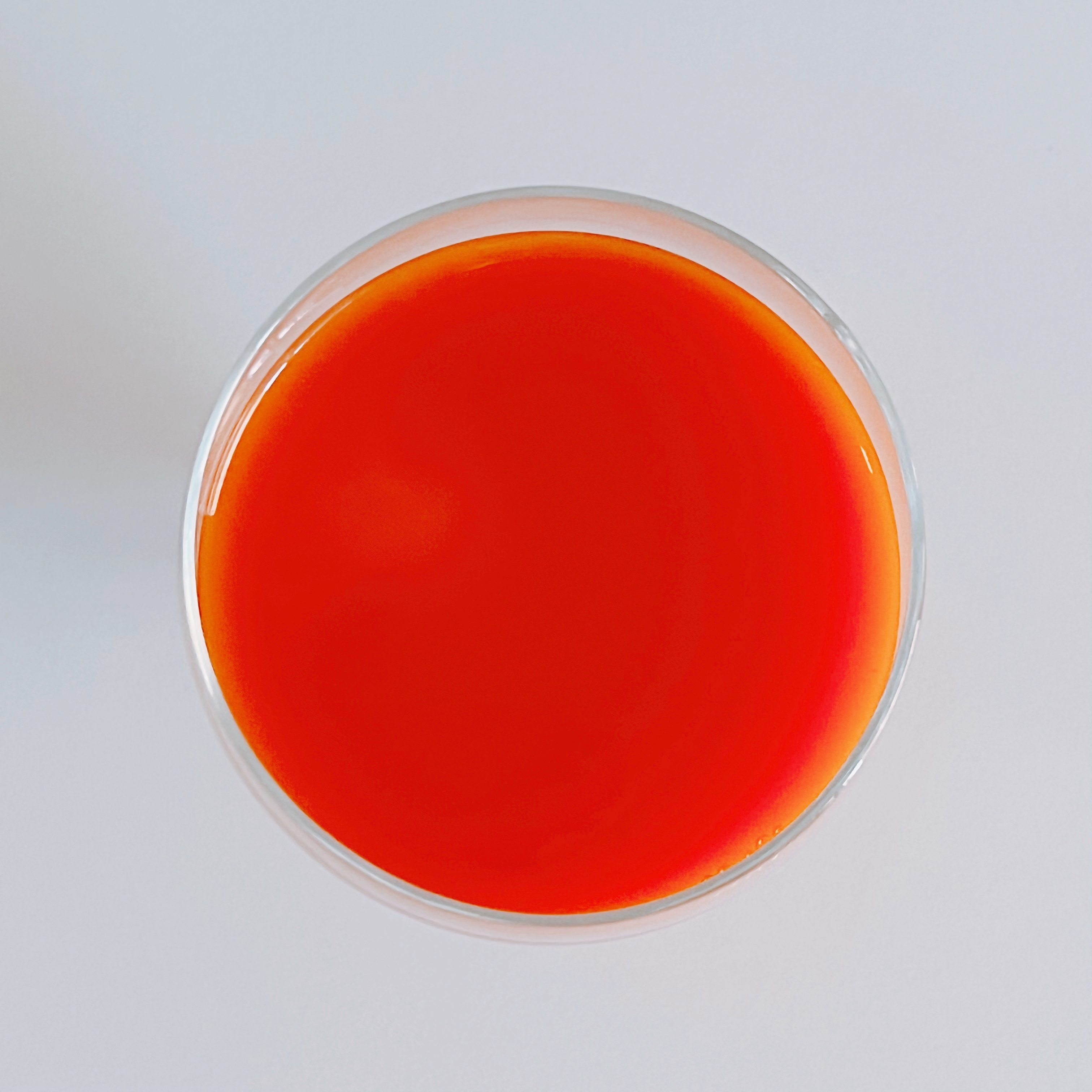 KALDI（カルディ）のおすすめ「ルガーニ 100％キャロットジュース」