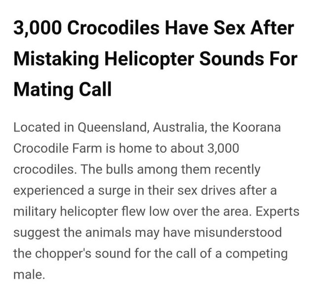 headline says, 3000 crocodiles have sex after mistakes helicopter sounds for mating calls