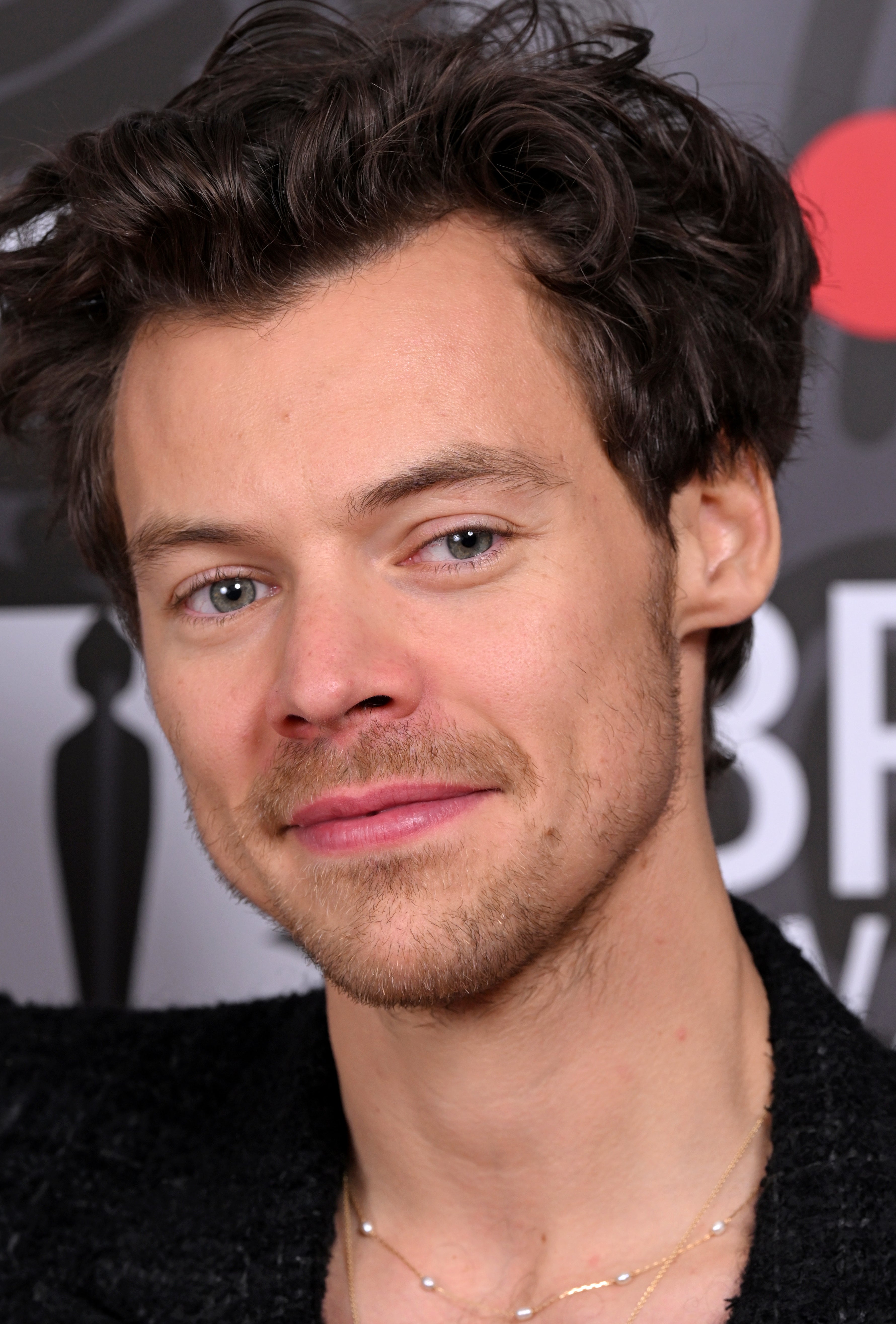 Close-up of Harry