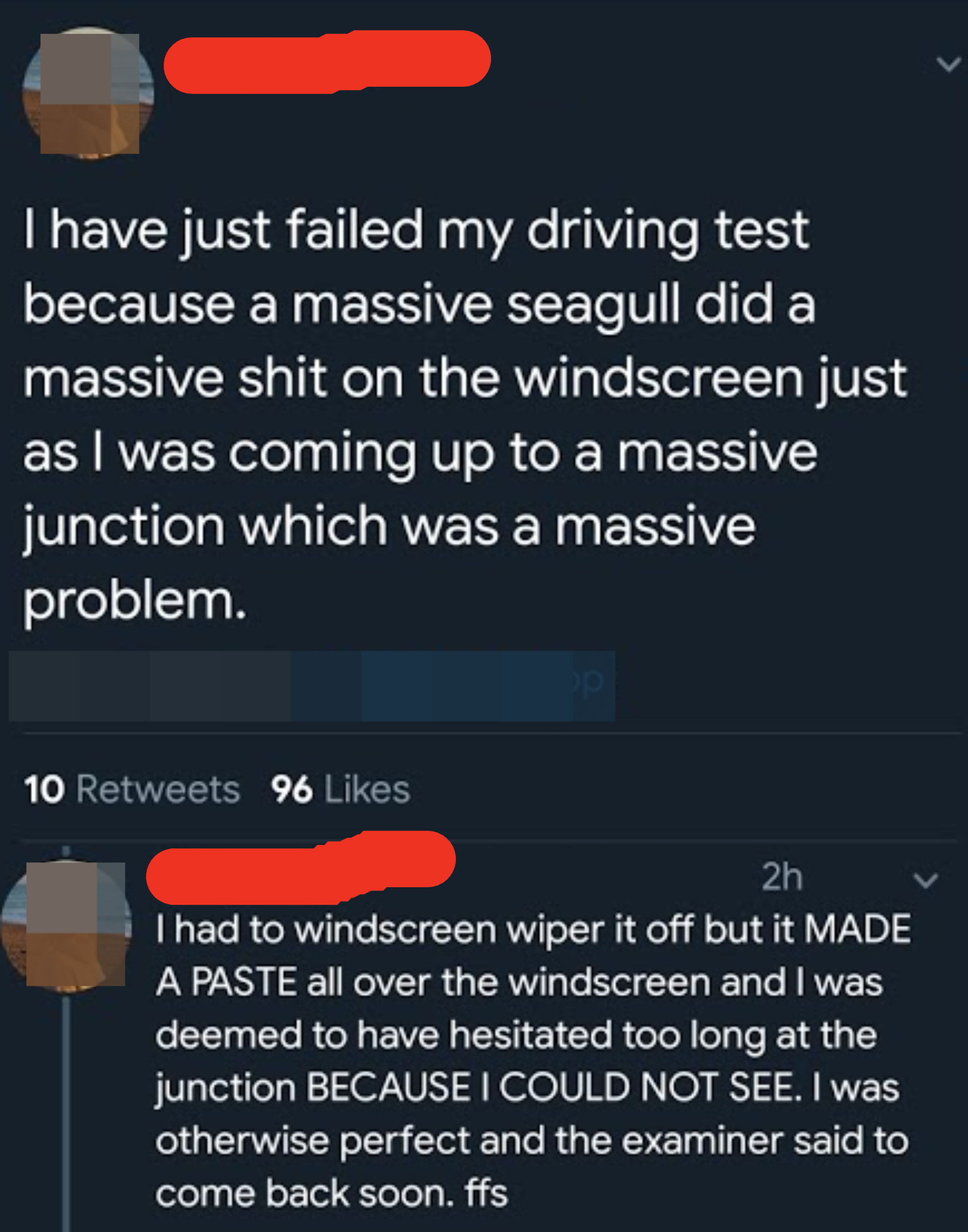 Person failed driving test because a seagull &quot;did a massive shit on the windscreen&quot; just as they were coming to a junction; the windscreen wiper made a paste and they took too long &#x27;cause they couldn&#x27;t see, but examiner said they were &quot;otherwise perfect&quot;