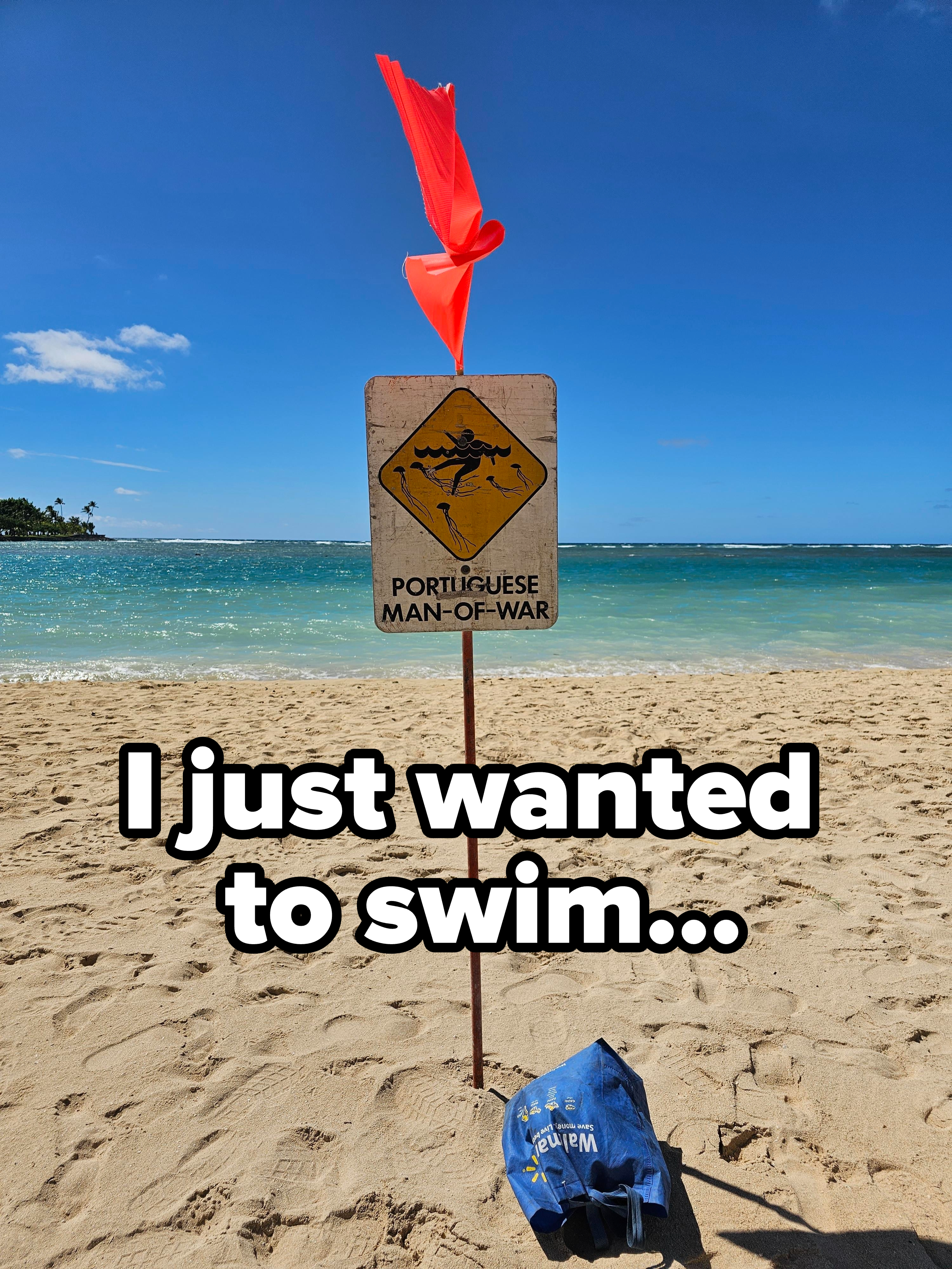 &quot;I just wanted to swim&quot; caption with a &quot;Portuguese man-of-war&quot; sign sticking out of the sand on a beach