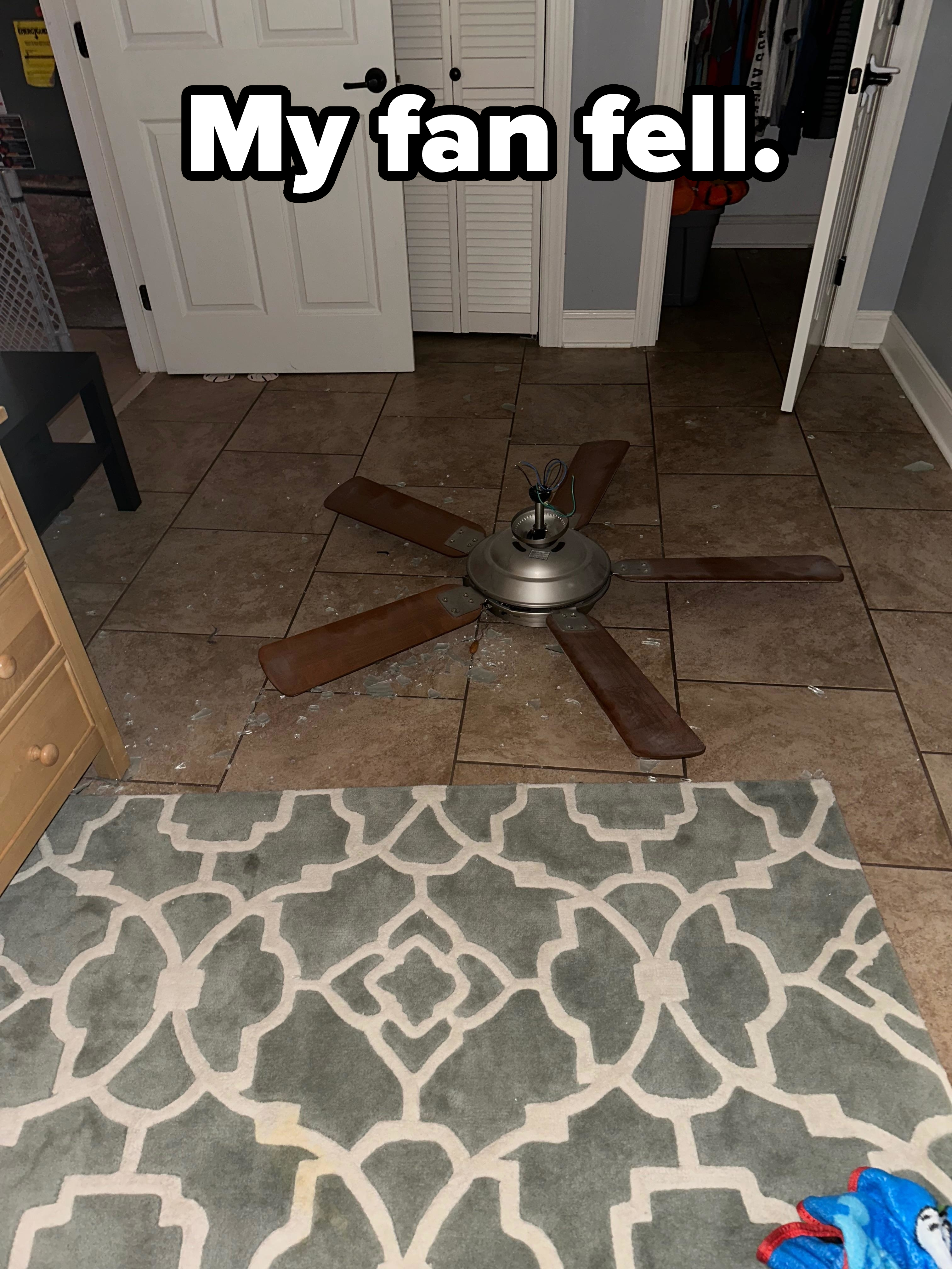 &quot;My fan fell.&quot;