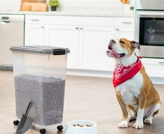 a wheeled dry food storage bin with a scoop, bowl of dog food, and a dog in a kitchen.