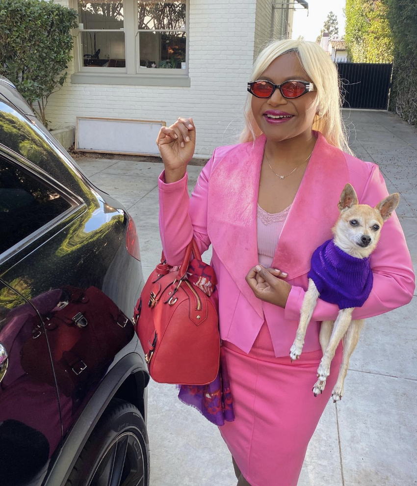 in a pink suit with a purse and small dog