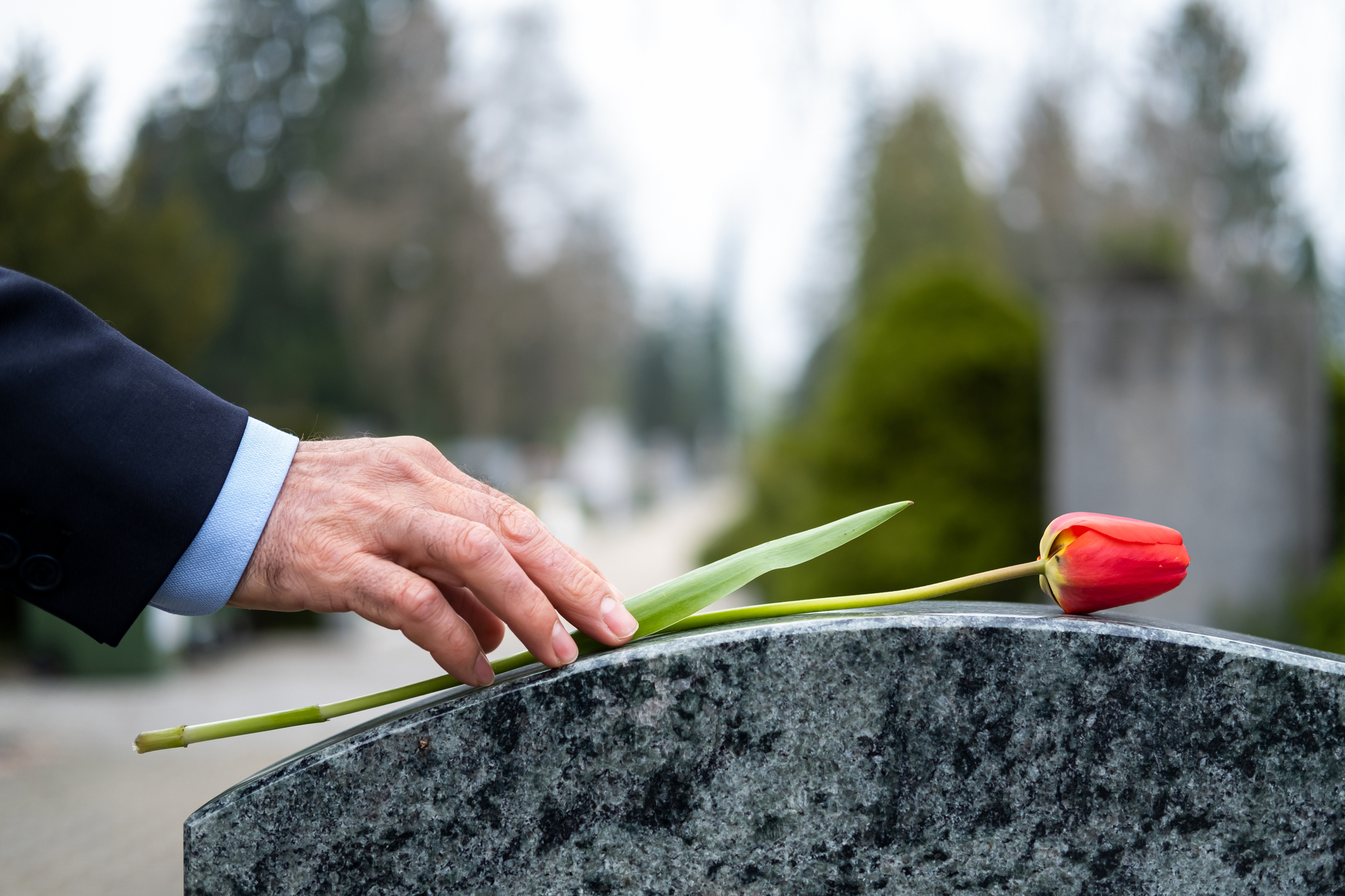 A person laying a flower on a gravestone