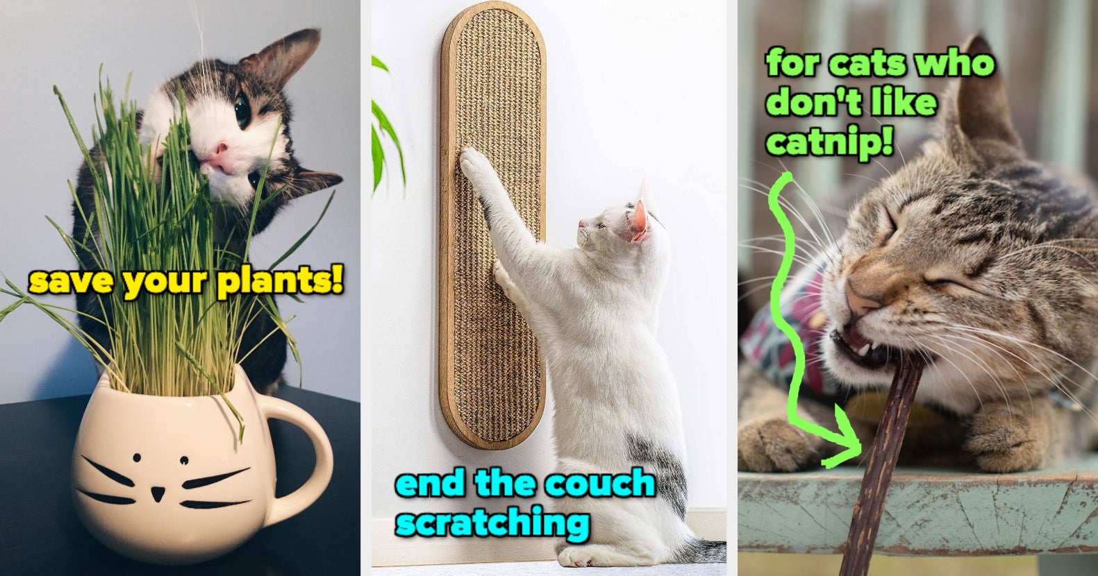 cat scratch couch hacks｜TikTok Search
