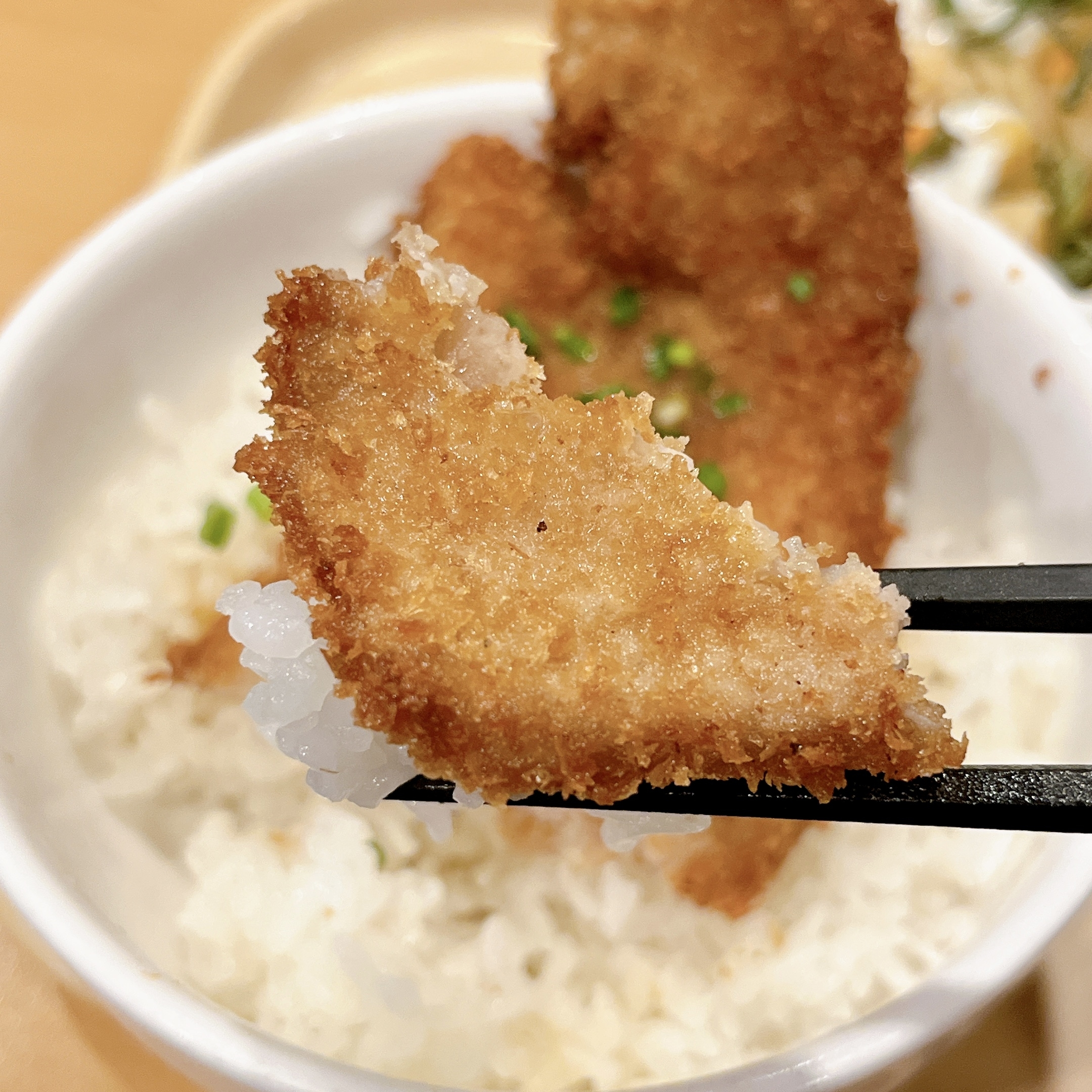 ガストのおすすめメニュー「チーズINハンバーグ＆カキフライ」