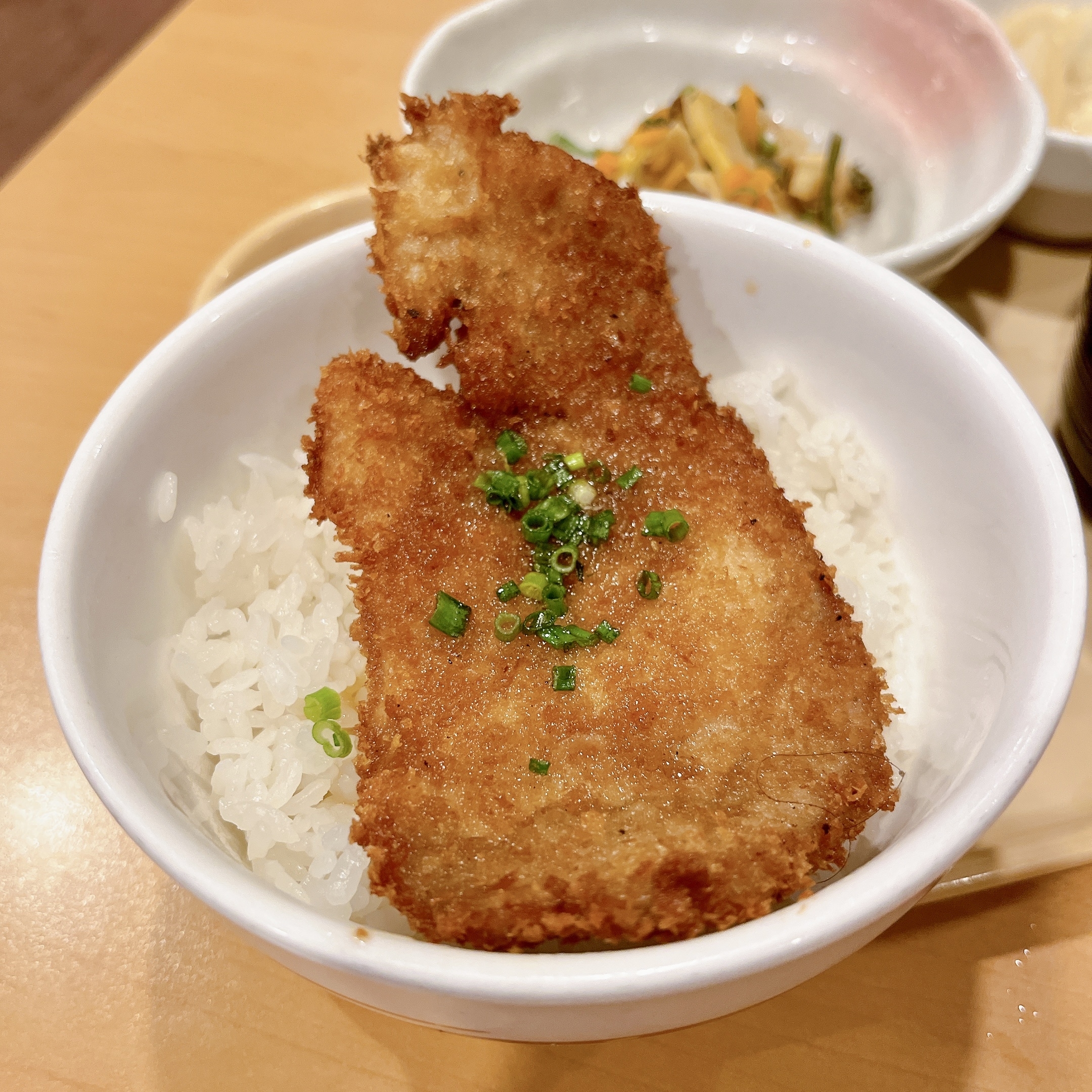 ガストのおすすめメニュー「チーズINハンバーグ＆カキフライ」