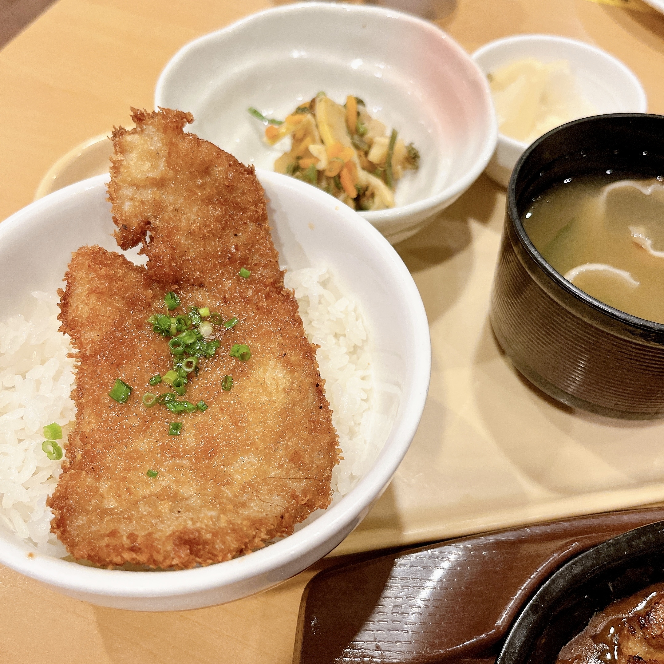 ガストのおすすめメニュー「チーズINハンバーグ＆カキフライ」
