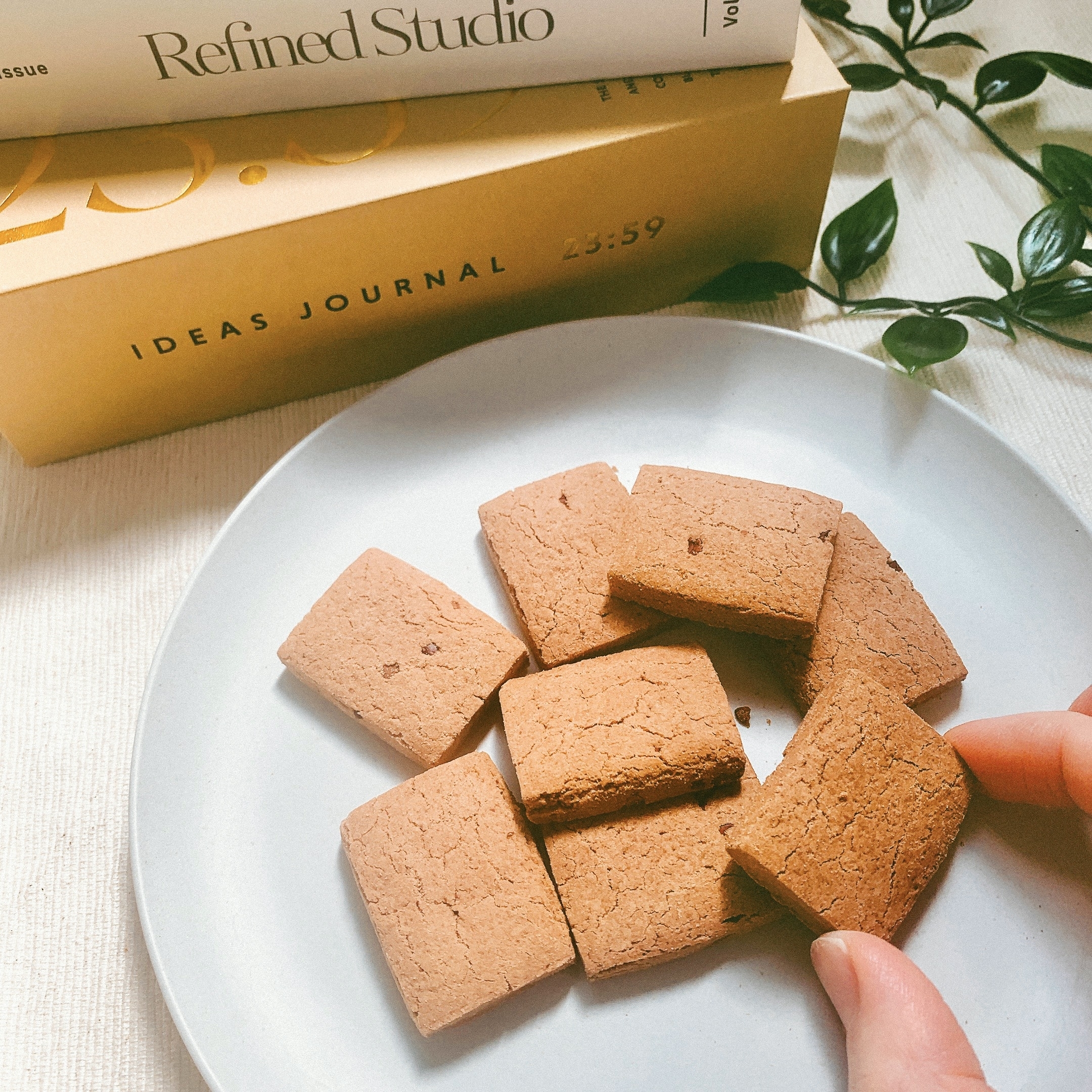 無印良品のおすすめのお菓子「植物素材を生かしたお菓子 ココアとカカオニブのサブレ」