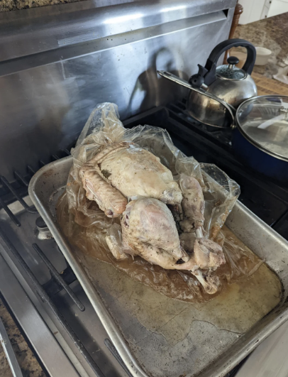 A turkey has collapsed inward on itself, making it look almost skeletal, and it&#x27;s oozing gross-looking liquid