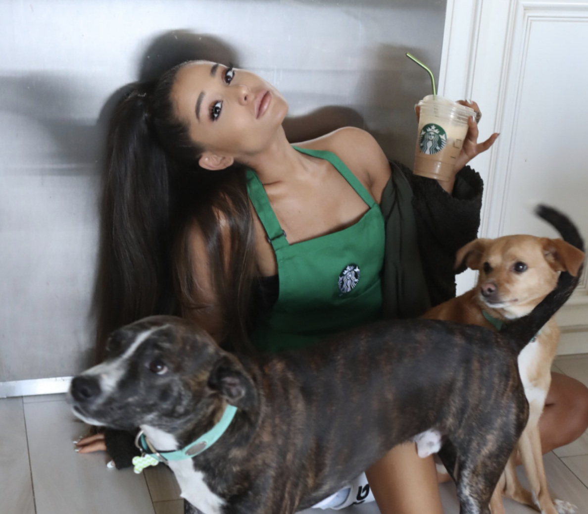 Closeup of Ariana Grande with her dogs and coffee